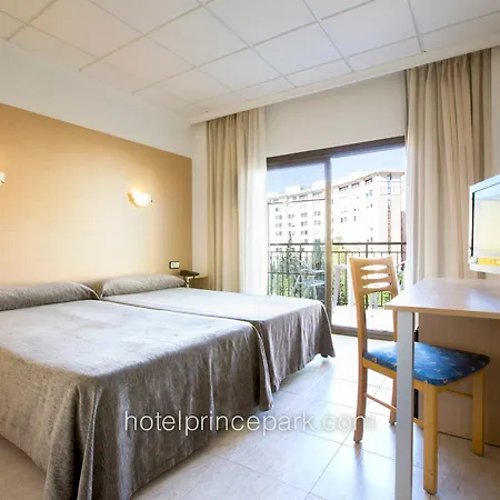 프린스 그룹 베니돔